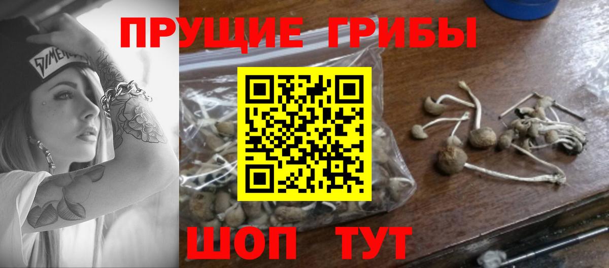 Псилоцибиновые грибы Psilocybine cubensis  Галлюциногенные грибы прущие грибы  Вход с VPN  Елизово 